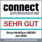 Connect Professional Award Logo